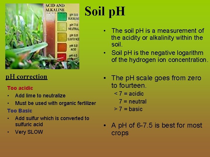 Soil p. H • The soil p. H is a measurement of the acidity