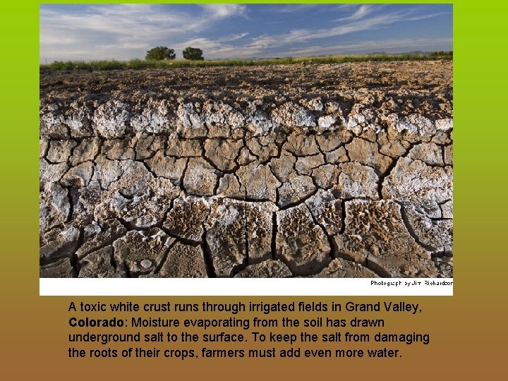 A toxic white crust runs through irrigated fields in Grand Valley, Colorado: Moisture evaporating