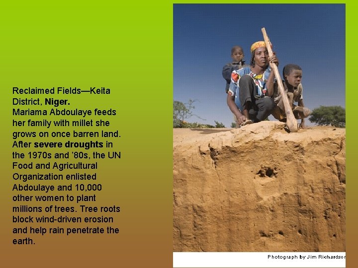 Reclaimed Fields—Keita District, Niger. Mariama Abdoulaye feeds her family with millet she grows on