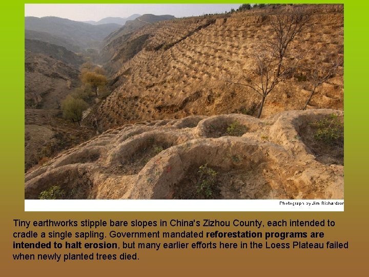 Tiny earthworks stipple bare slopes in China's Zizhou County, each intended to cradle a