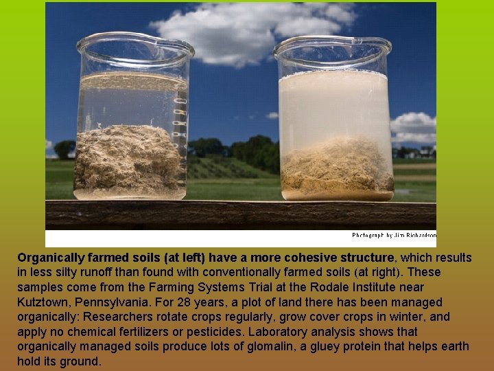 Organically farmed soils (at left) have a more cohesive structure, which results in less