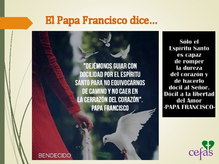 El Papa Francisco dice… 
