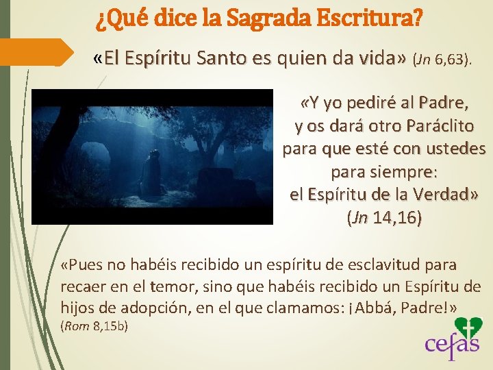 ¿Qué dice la Sagrada Escritura? «El Espíritu Santo es quien da vida» (Jn 6,