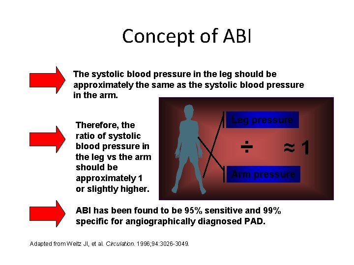 Concept of ABI The systolic blood pressure in the leg should be approximately the