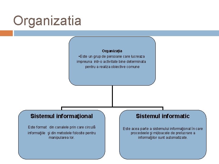 Organizatia Organizaţia • Este un grup de persoane care lucreaza impreuna intr-o activitate bine