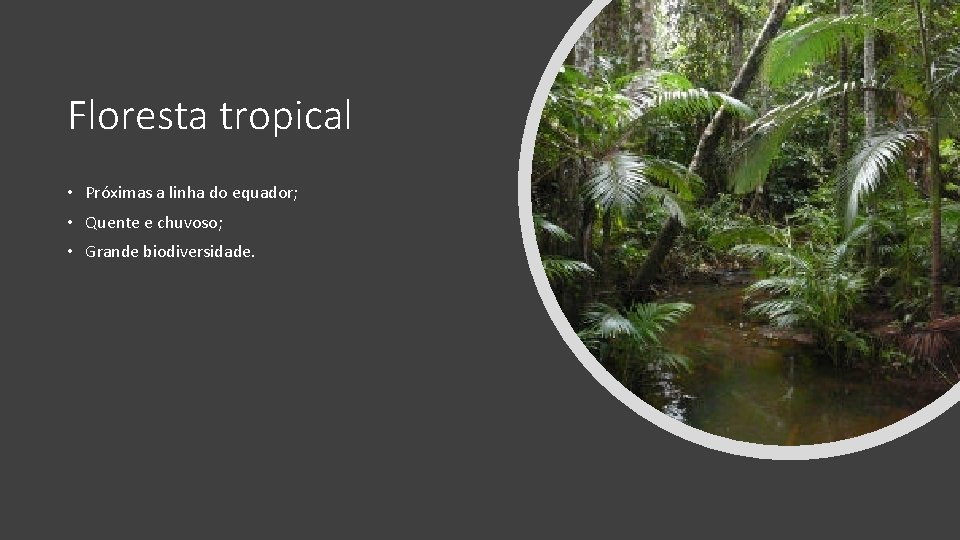 Floresta tropical • Próximas a linha do equador; • Quente e chuvoso; • Grande