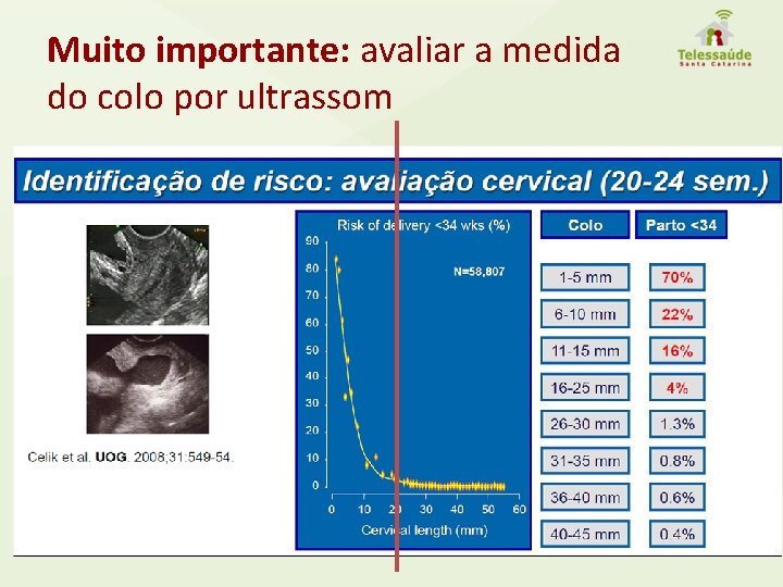 Muito importante: avaliar a medida do colo por ultrassom 