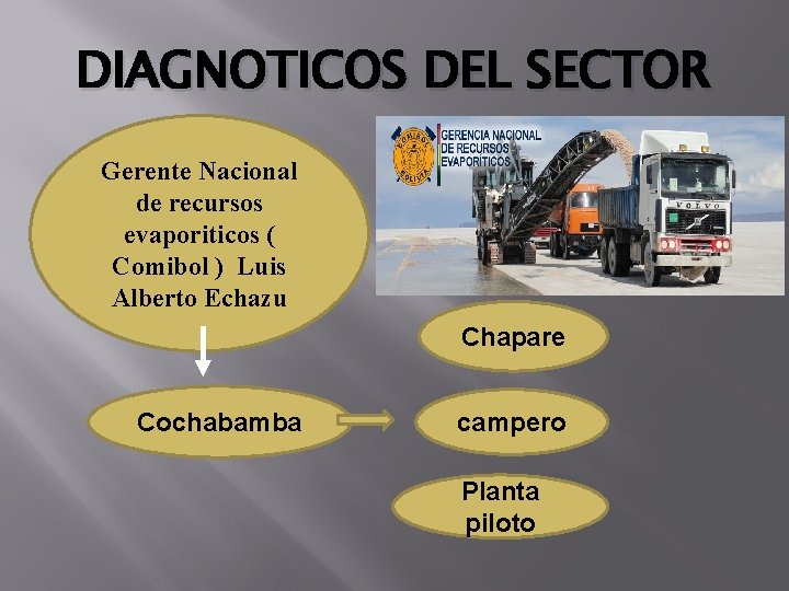 DIAGNOTICOS DEL SECTOR Gerente Nacional de recursos evaporiticos ( Comibol ) Luis Alberto Echazu