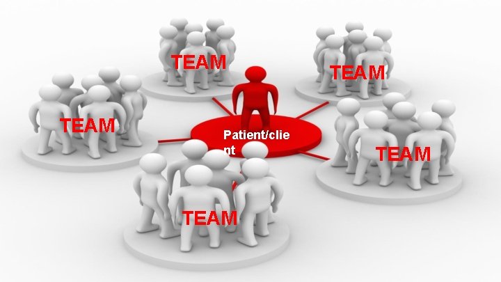 TEAM Patient/clie nt TEAM 