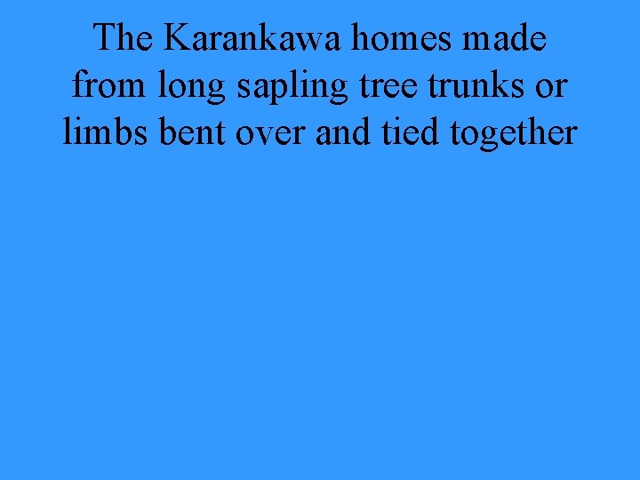 The Karankawa homes made from long sapling tree trunks or limbs bent over and