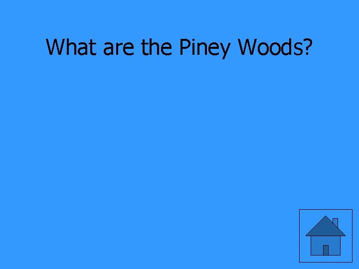 What are the Piney Woods? 