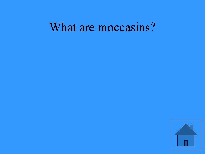What are moccasins? 