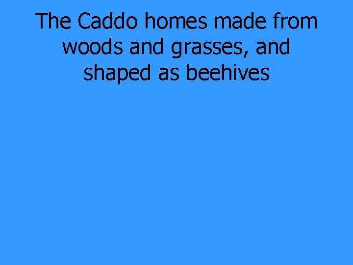 The Caddo homes made from woods and grasses, and shaped as beehives 