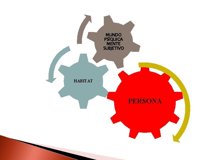 MUNDO PSÍQUICA MENTE SUBJETIVO HABITAT PERSONA 