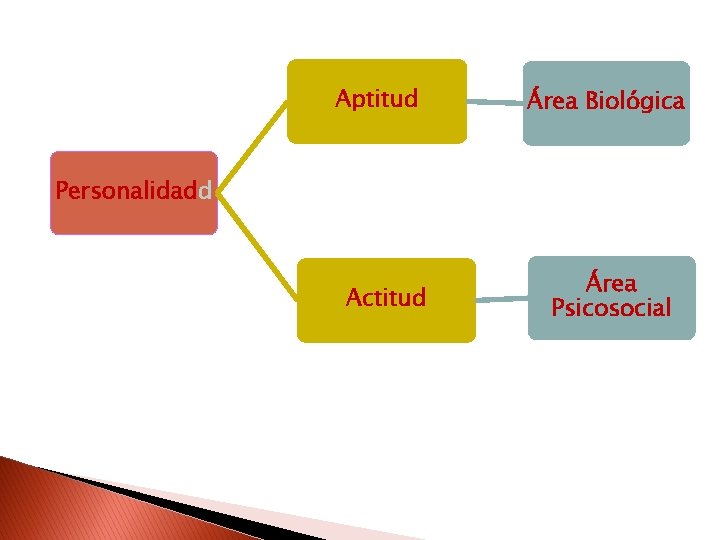 Aptitud Área Biológica Personalidadd Actitud Área Psicosocial 