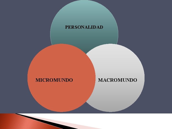 PERSONALIDAD MICROMUNDO MACROMUNDO 