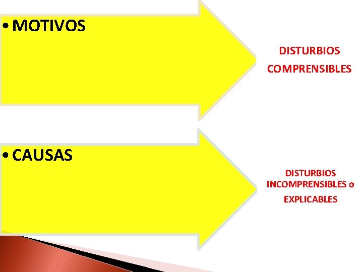  • MOTIVOS DISTURBIOS COMPRENSIBLES • CAUSAS DISTURBIOS INCOMPRENSIBLES o EXPLICABLES 