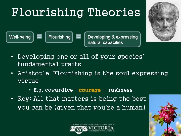 Flourishing Theories Well-being Flourishing Developing & expressing natural capacities • Developing one or all Flourishing Theories Well-being Flourishing Developing & expressing natural capacities • Developing one or all