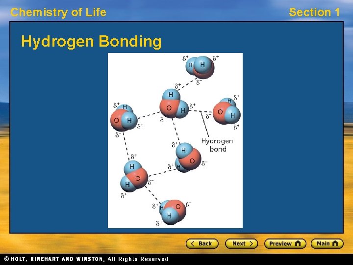 Chemistry of Life Hydrogen Bonding Section 1 Chemistry of Life Hydrogen Bonding Section 1
