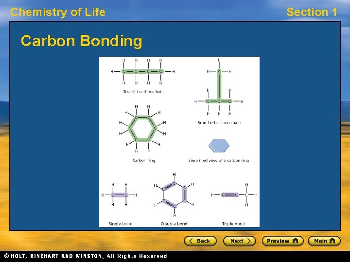 Chemistry of Life Carbon Bonding Section 1 Chemistry of Life Carbon Bonding Section 1