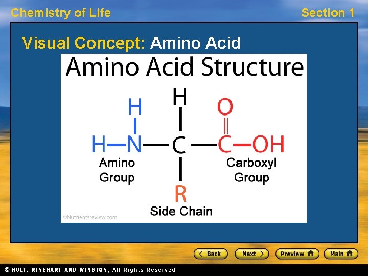 Chemistry of Life Visual Concept: Amino Acid Section 1 Chemistry of Life Visual Concept: Amino Acid Section 1