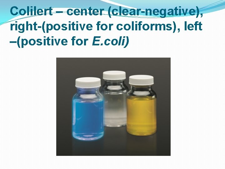 Colilert – center (clear-negative), right-(positive for coliforms), left –(positive for E. coli) 