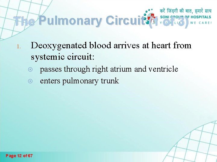 The Pulmonary Circuit (1 of 3) 1. Deoxygenated blood arrives at heart from systemic The Pulmonary Circuit (1 of 3) 1. Deoxygenated blood arrives at heart from systemic
