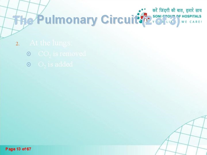 The Pulmonary Circuit (2 of 3) 2. At the lungs: Page 13 of 67 The Pulmonary Circuit (2 of 3) 2. At the lungs: Page 13 of 67