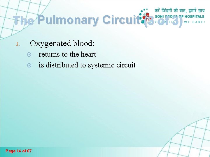 The Pulmonary Circuit (3 of 3) 3. Oxygenated blood: Page 14 of 67 returns The Pulmonary Circuit (3 of 3) 3. Oxygenated blood: Page 14 of 67 returns