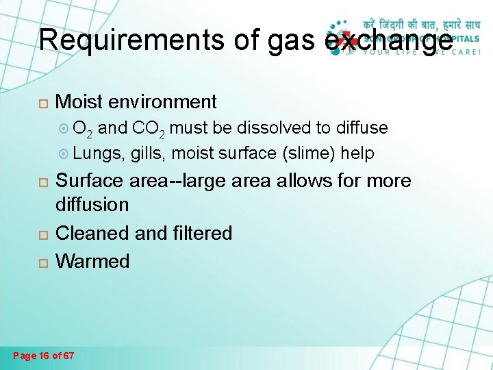 Requirements of gas exchange Moist environment O 2 and CO 2 must be dissolved Requirements of gas exchange Moist environment O 2 and CO 2 must be dissolved