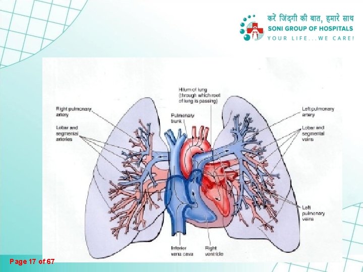 Page 17 of 67 Page 17 of 67