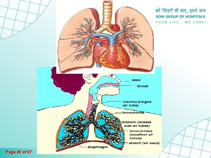 Page 20 of 67 Page 20 of 67