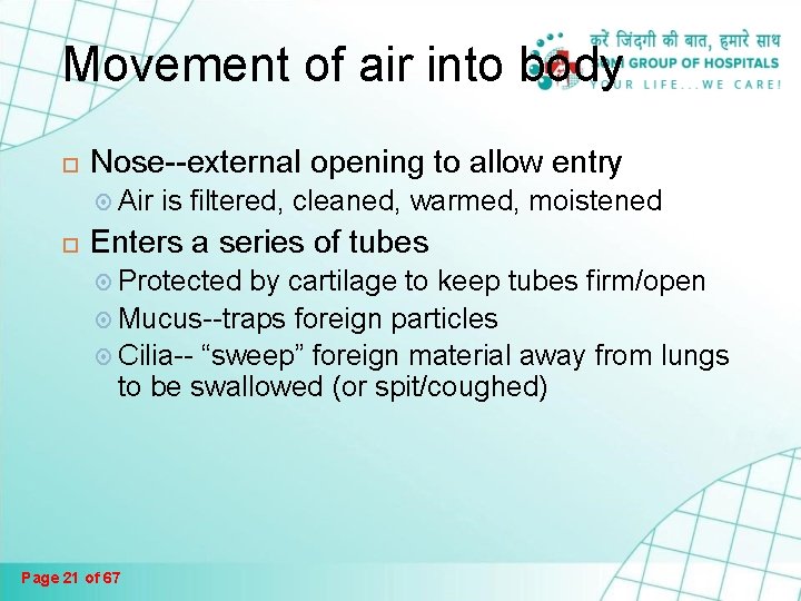Movement of air into body Nose--external opening to allow entry Air is filtered, cleaned, Movement of air into body Nose--external opening to allow entry Air is filtered, cleaned,