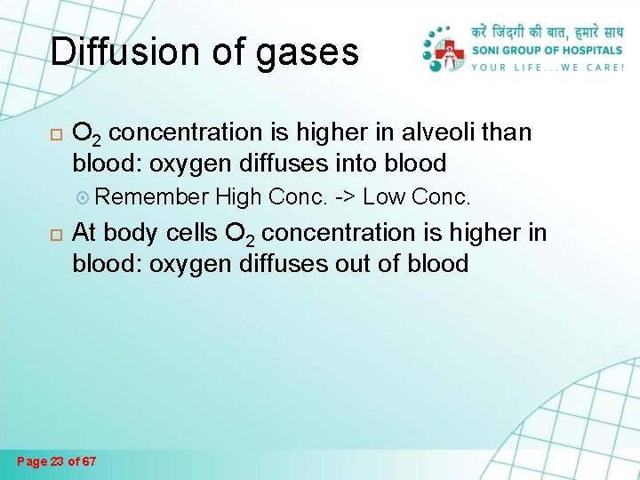 Diffusion of gases O 2 concentration is higher in alveoli than blood: oxygen diffuses Diffusion of gases O 2 concentration is higher in alveoli than blood: oxygen diffuses