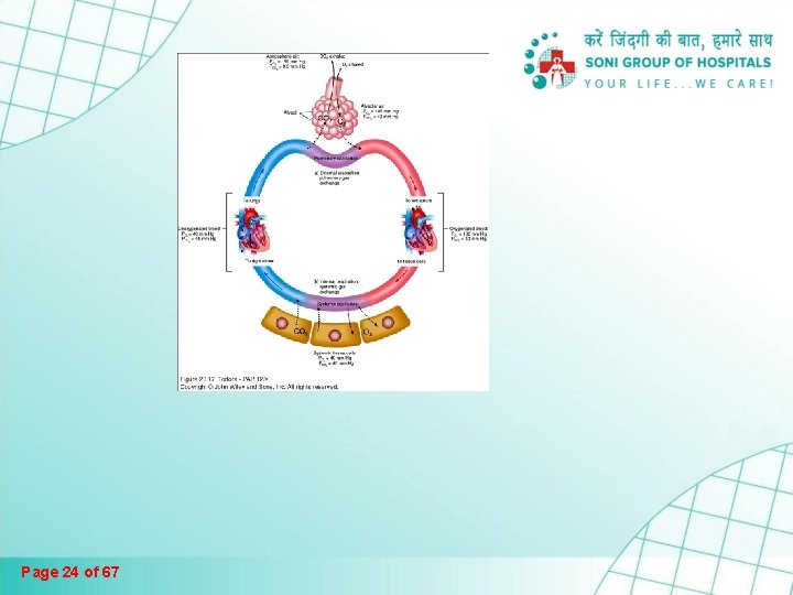 Page 24 of 67 Page 24 of 67