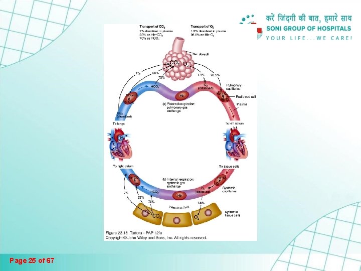 Page 25 of 67 Page 25 of 67