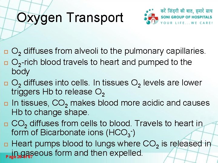 Oxygen Transport O 2 diffuses from alveoli to the pulmonary capillaries. O 2 -rich Oxygen Transport O 2 diffuses from alveoli to the pulmonary capillaries. O 2 -rich