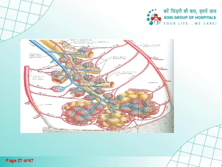 Page 27 of 67 Page 27 of 67