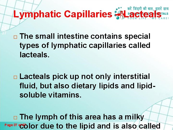 Lymphatic Capillaries – Lacteals 2437 The small intestine contains special types of lymphatic capillaries Lymphatic Capillaries – Lacteals 2437 The small intestine contains special types of lymphatic capillaries