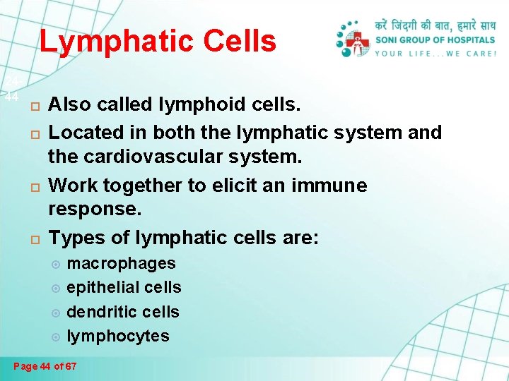 Lymphatic Cells 2444 Also called lymphoid cells. Located in both the lymphatic system and Lymphatic Cells 2444 Also called lymphoid cells. Located in both the lymphatic system and