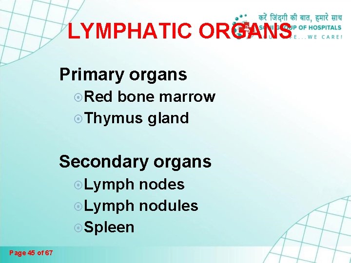 LYMPHATIC ORGANS Primary organs Red bone marrow Thymus gland Secondary organs Lymph nodes Lymph LYMPHATIC ORGANS Primary organs Red bone marrow Thymus gland Secondary organs Lymph nodes Lymph