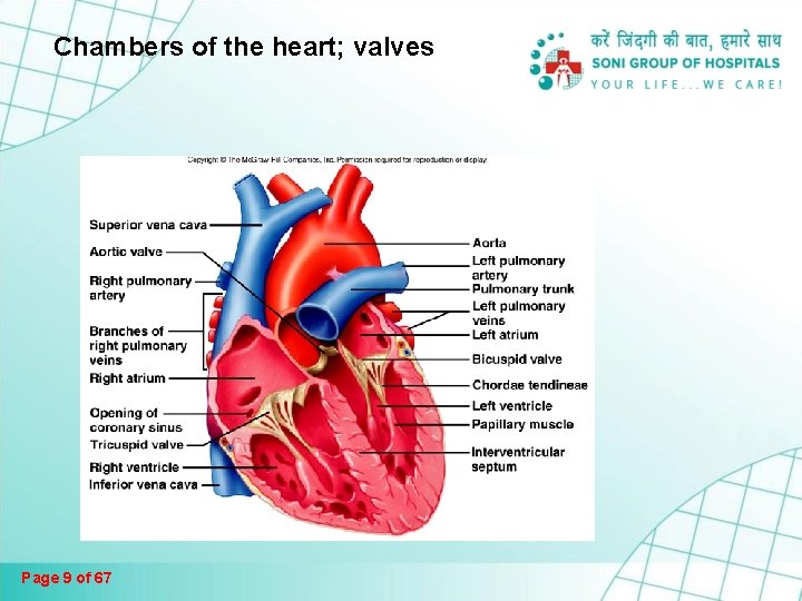 Chambers of the heart; valves Page 9 of 67 Chambers of the heart; valves Page 9 of 67