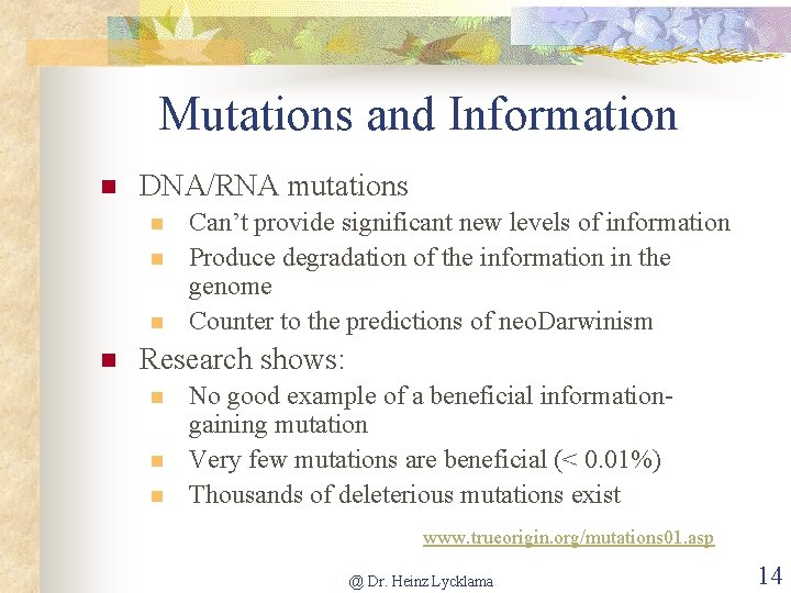Mutations and Information n DNA/RNA mutations n n Can’t provide significant new levels of