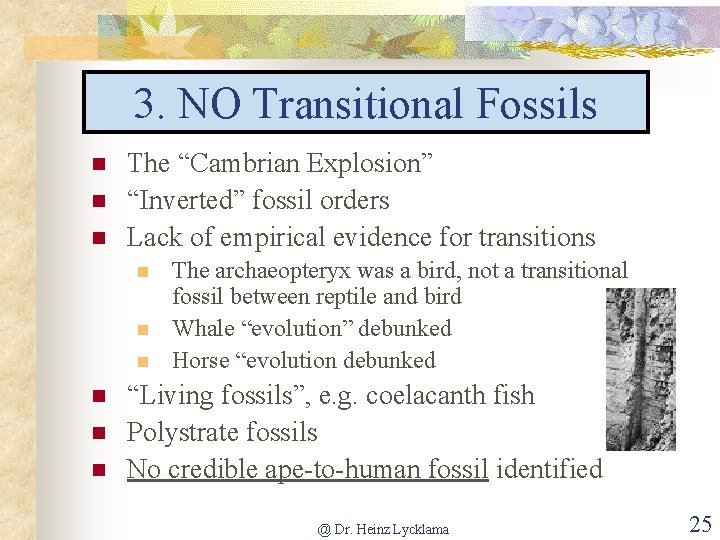 3. NO Transitional Fossils n n n The “Cambrian Explosion” “Inverted” fossil orders Lack