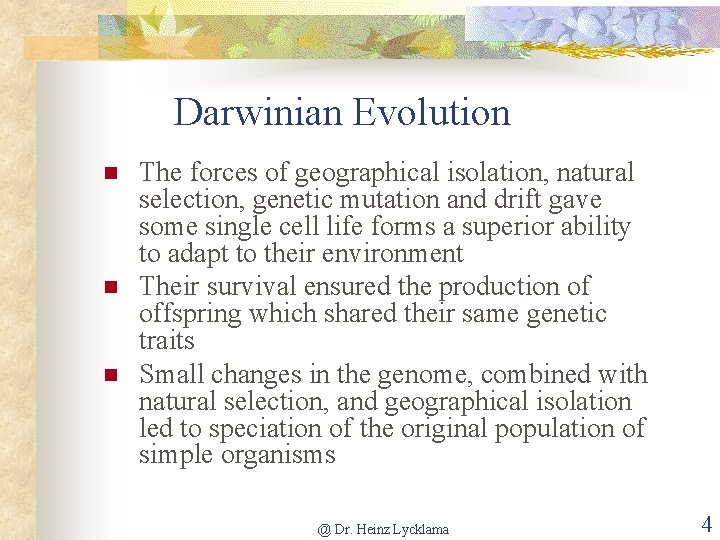 Darwinian Evolution n The forces of geographical isolation, natural selection, genetic mutation and drift