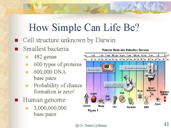 How Simple Can Life Be? n n Cell structure unknown by Darwin Smallest bacteria