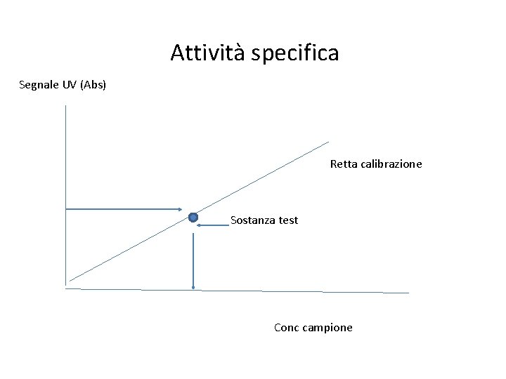 Attività specifica Segnale UV (Abs) Retta calibrazione Sostanza test Conc campione 