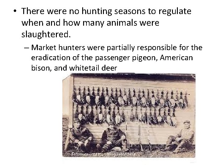  • There were no hunting seasons to regulate when and how many animals