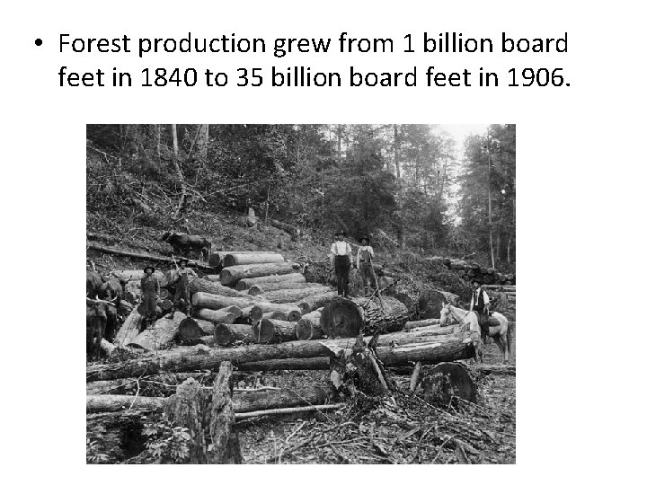  • Forest production grew from 1 billion board feet in 1840 to 35