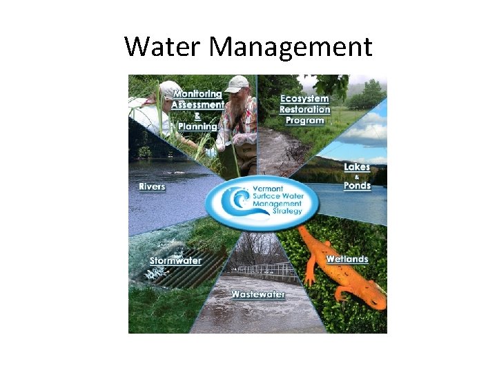 Water Management 